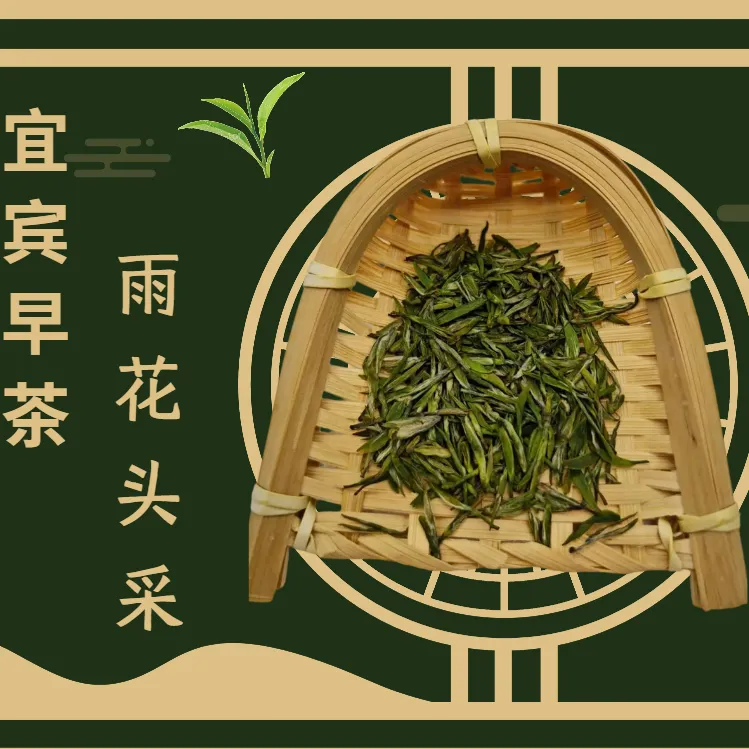 2025 新茶 宜宾早茶（雨花）头采