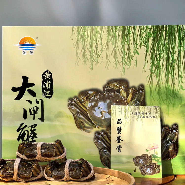 昆泖黄浦江大闸蟹 活蟹 母蟹2.3-2.5两*6/8/10只 江浙沪包邮发货