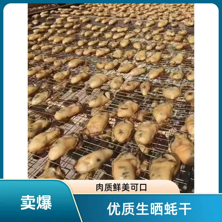 湛江本地生蚝干蚝豉200头足干淡干生晒无添加新鲜海产干货