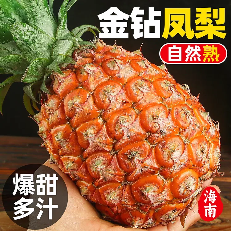 G果星球-正宗海南金钻凤梨新鲜应季现摘现发香甜多汁水果