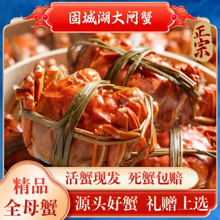 【活蟹现发】江苏固城湖大闸蟹2~3.8两 全母蟹 8/10只鲜活冷链到家
