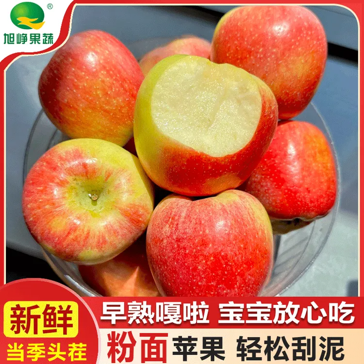 【嘎啦苹果】2025新果陕西白水粉面苹果宝宝辅食刮果泥嘎啦果