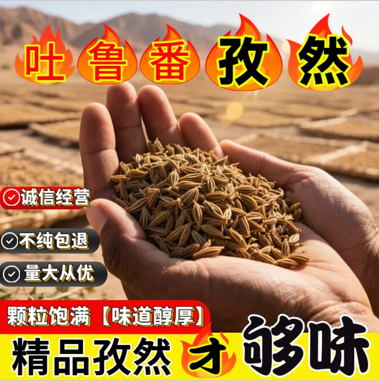 新疆正宗孜然粒孜然半颗粒纯孜然粉新货商用烧烤撒蘸腌料包邮