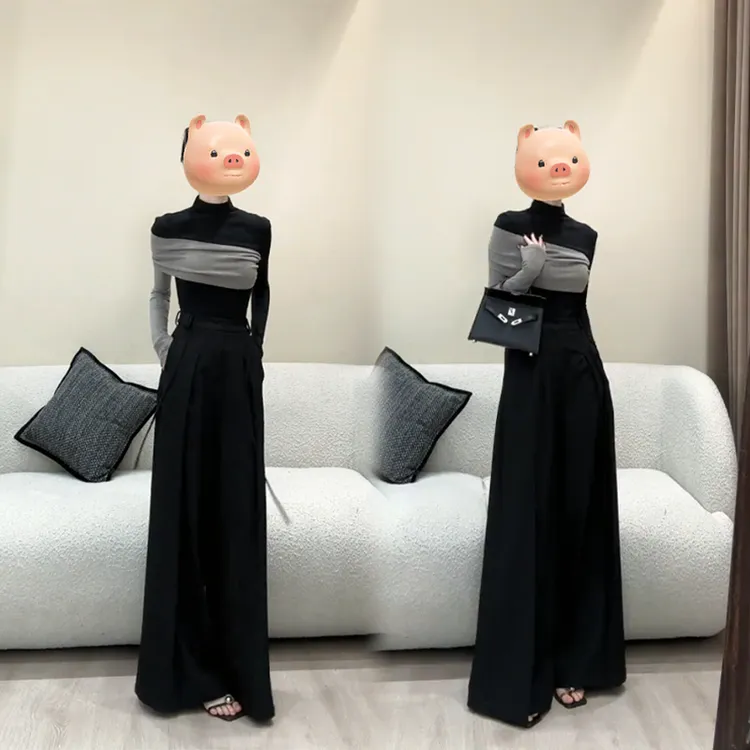 网红时尚炸街新款女装秋季出游穿搭高级感拼色高领长袖上衣两件套