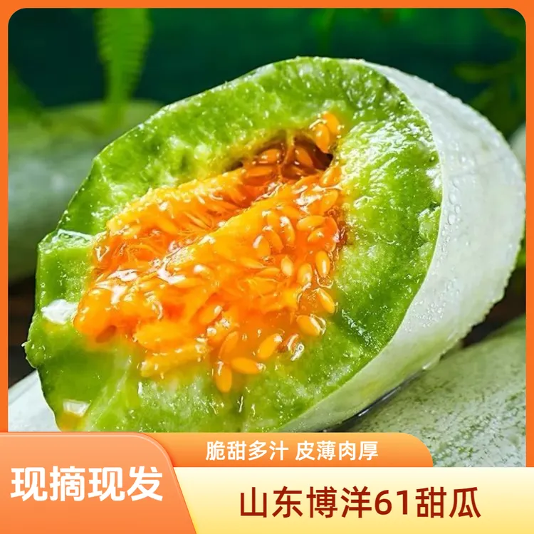 【顺丰包邮】山东头茬博洋61羊角蜜甜瓜新鲜脆甜多汁水果香瓜蜜瓜
