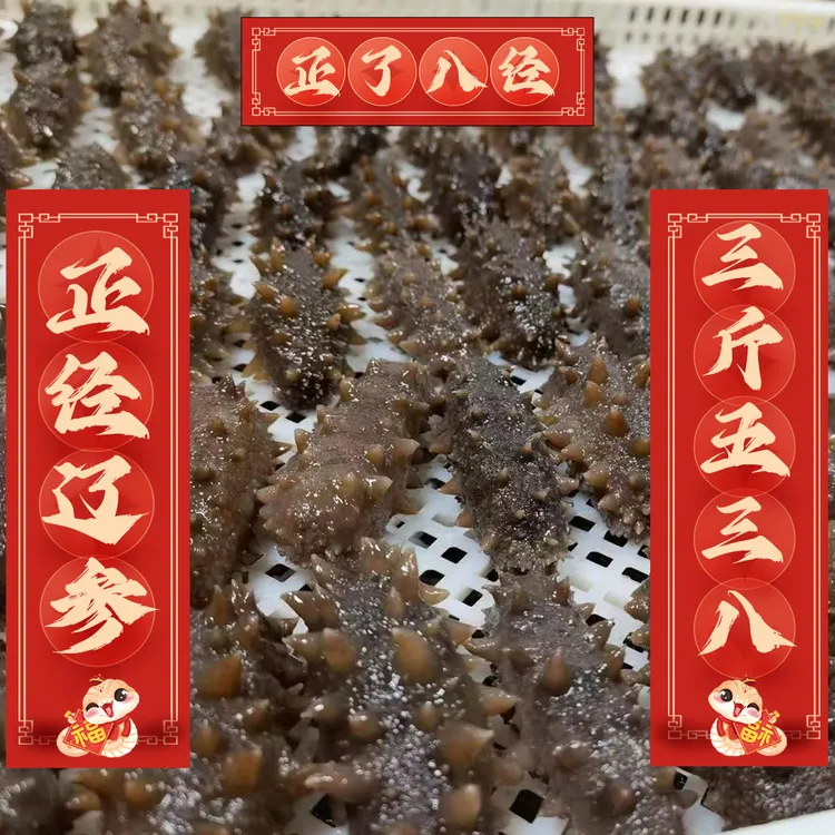 大连即食海参（正宗辽参，甘岛品牌）