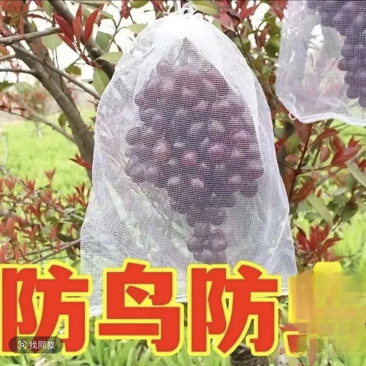 【100只！仅8·9】自带抽绳葡萄水果套袋防鸟防雨防网袋瓜果无花果商品图