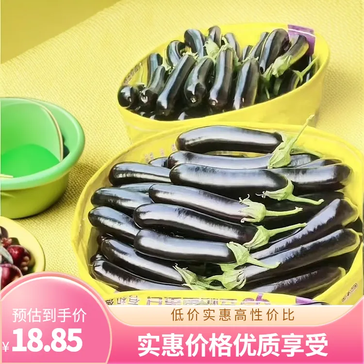 蔬菜之乡精品长茄农家大棚现摘现发