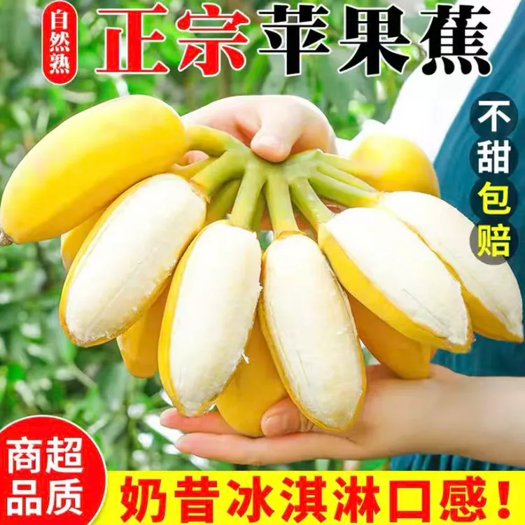【正宗苹果蕉】现摘净重5斤水果产地直发当季新鲜苹果香蕉批发直销