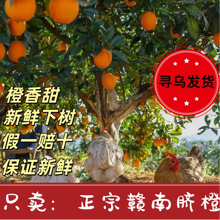 【双11让利】赣南脐橙新鲜现摘果园直发3/5/10斤保证正宗保证新鲜