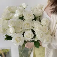 【20支 骄傲白玫瑰-B级】鲜花任意满2单发冷链或空运 云南鲜花