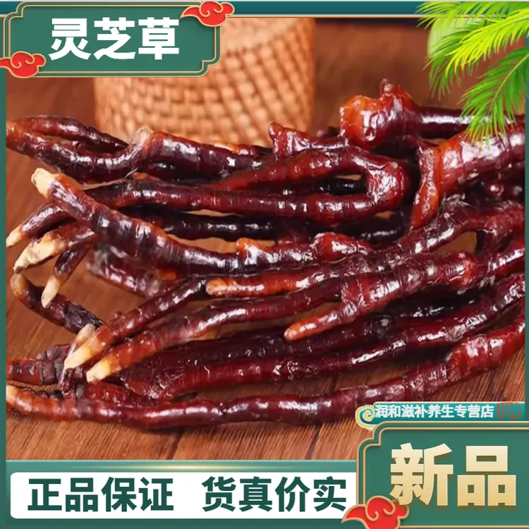  正宗深山灵芝草 整枝灵芝又名鹿角灵芝林芝泡酒无硫正品干货包邮