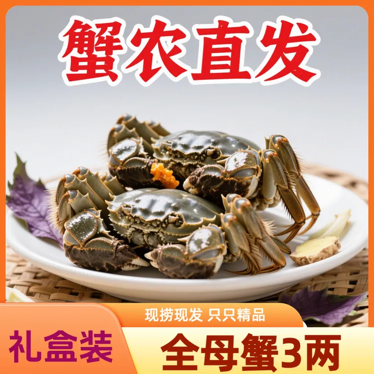 【赵小农】活蟹苏州大闸蟹鲜活蟹全母蟹2两/2.5两/3两中秋8只礼盒