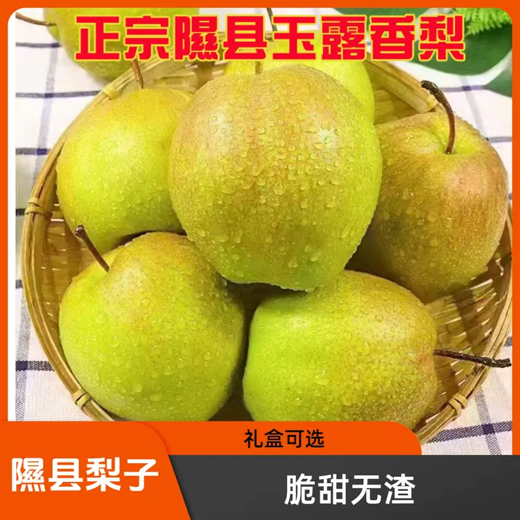 主播推荐正宗山西隰县玉露香梨子果肉细腻无渣绿色热情新鲜苹果