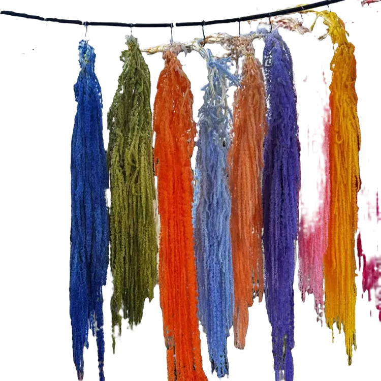 吊米永生花真花干花用于婚庆布景家庭软装花材