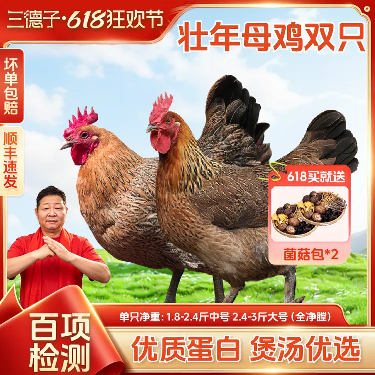 三德子【母鸡2只】炖汤煲汤老母鸡土鸡正宗散养生态鸡煲汤炖汤生鲜商品图