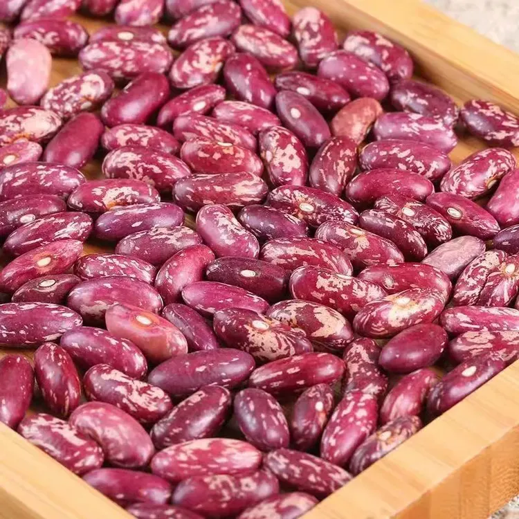 东北紫花芸豆五谷杂粮焖饭豆大红芸豆饭豆大碴粥芸豆