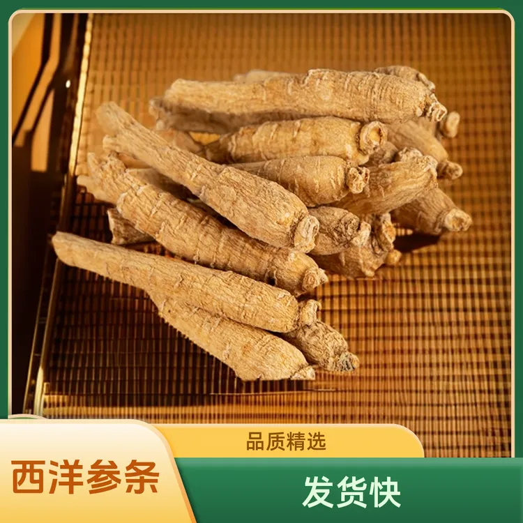 长白山精选西洋参条软质枝条浓郁发货参味泡水营养滋补