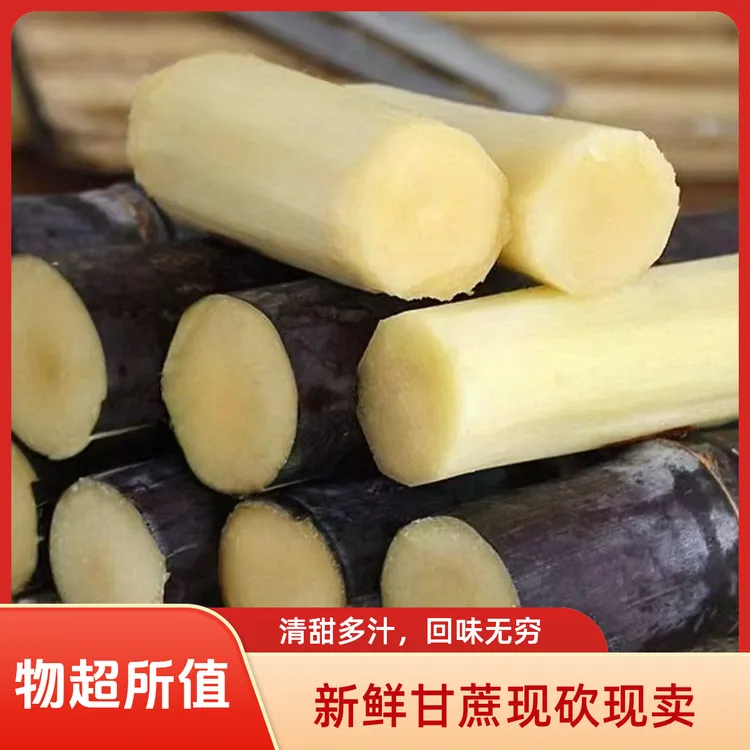 【生态种植】广西黑皮甘蔗应季水果新鲜现挖现砍现发脆甜多汁