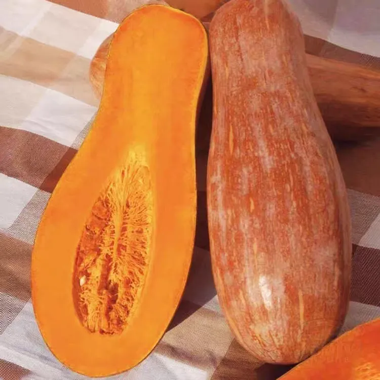 云南老品种农家自种软糯香甜蜜本老南瓜新鲜蔬菜宝宝辅食