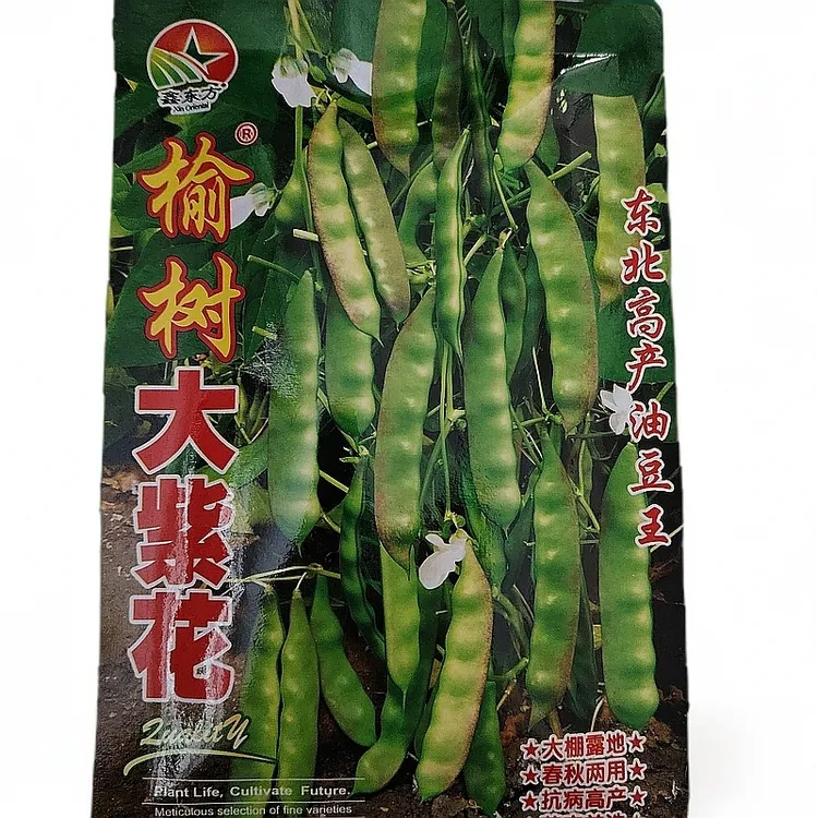 榆树大紫花油豆角籽50克