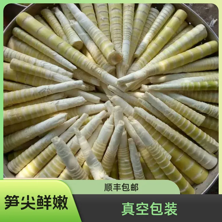 新鲜高山竹笋尖人工挑选脆嫩火锅食材嫩笋尖顺丰包邮手剥笋