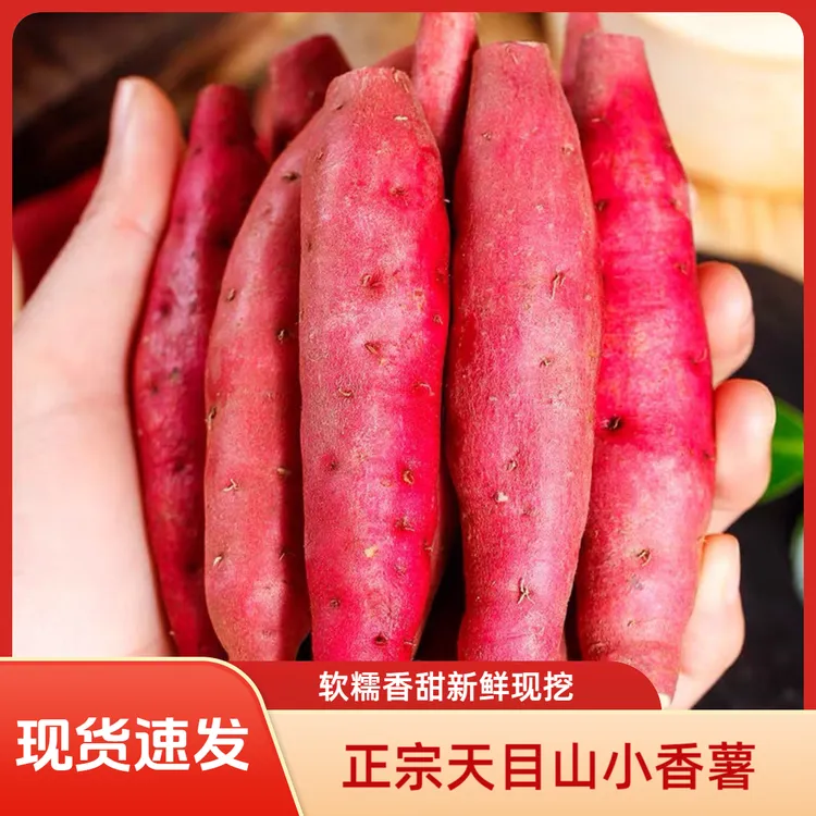 临安正宗小香薯香甜代餐红薯地瓜黄心金手指沙地新鲜天目山海南商品图