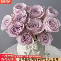 【云舍花卉】方德荷冠【柯赛特】单头玫瑰 全场鲜花任意满2单以上包邮