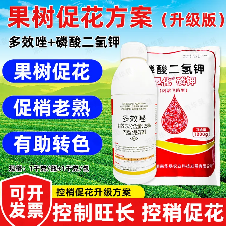 果树促花方案多效唑+磷酸二氢钾促花专用叶面肥调节剂