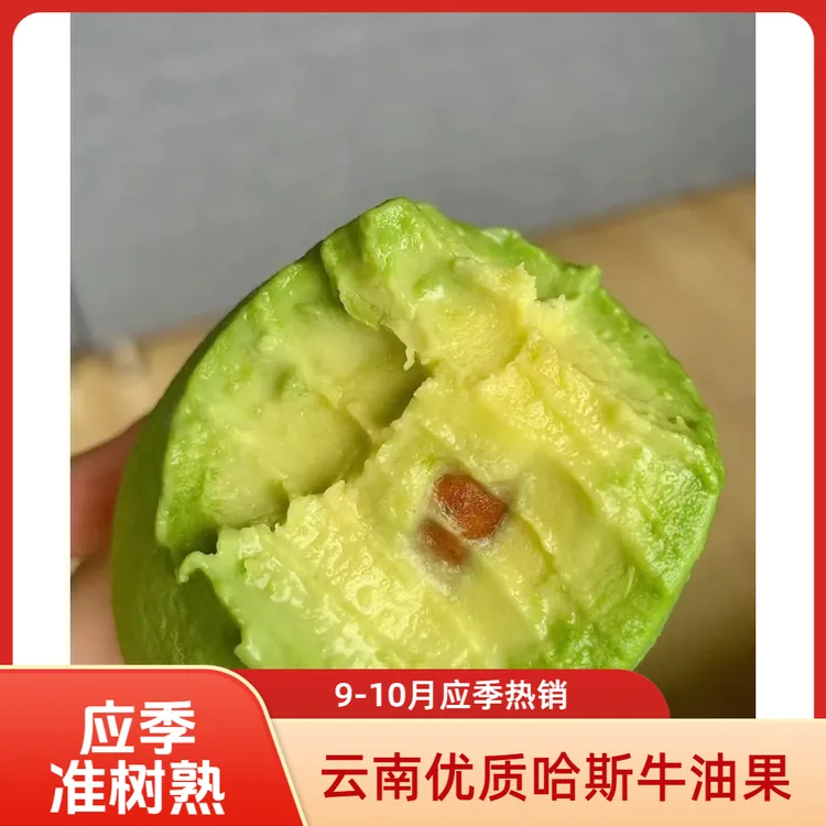 精品牛油果云南国产新鲜哈斯牛油果辅食应季鳄梨果园直发坏果包赔