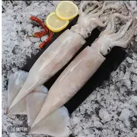 大连发货  鱿鱼（顺丰包邮）大小个头不均