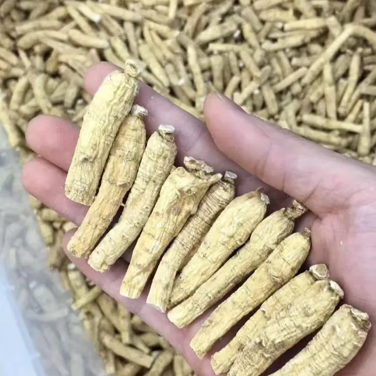 严选 十年西洋参枝条 60克（3克一枝）