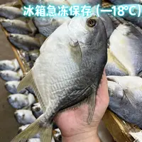 【金鲳鱼干】台山特产淡晒开片金昌鱼金仓鱼（4-5两/条）