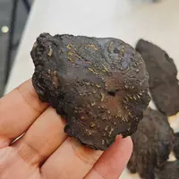 【聪爸精选】肉苁蓉 切片大片 内蒙阿拉善沙漠人参油性十足纹理清晰