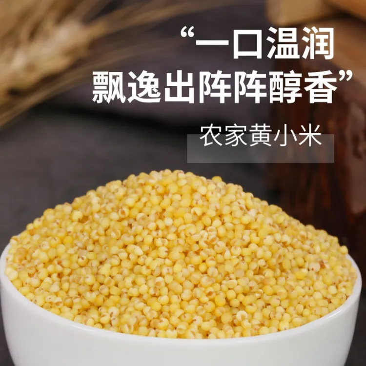 山东当季新鲜油糯黄小米熬粥米油多五谷杂粮早餐佳品