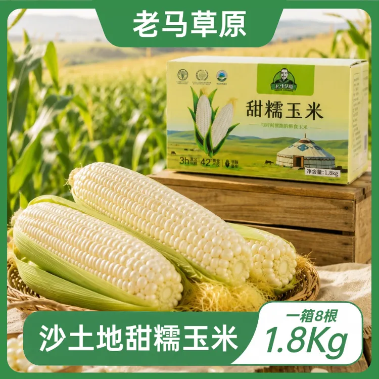 【老马专属】试吃两根甜白糯玉米甜糯25年糯玉米粗粮轻食精选