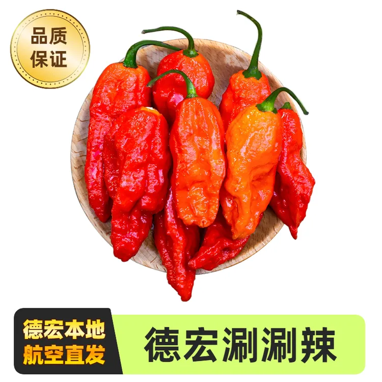 云南德宏新鲜涮涮辣魔鬼辣变态辣傣族特产象鼻辣