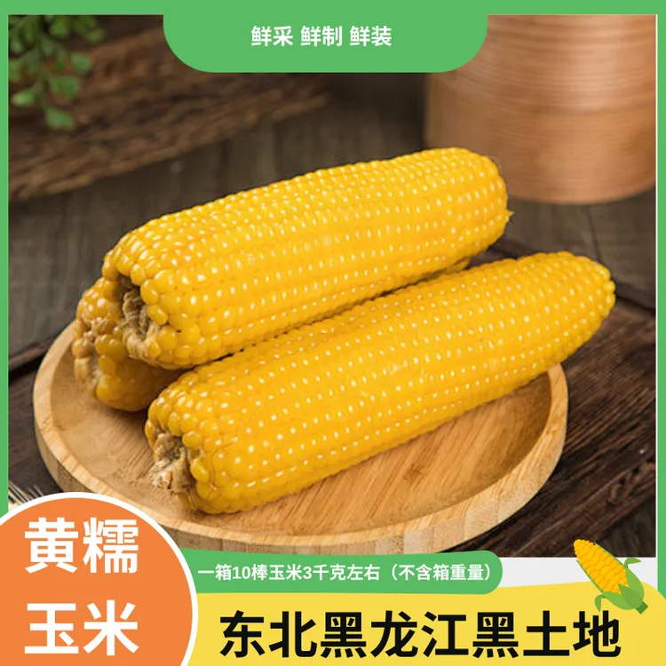 【10根】东北香甜黄糯玉米新鲜软糯真空包装整箱单支280g~300g