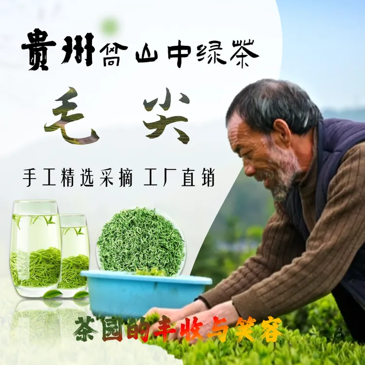 绿茶新茶特级贵州高山云雾手工采摘绿茶毛尖浓香耐泡板栗香散装