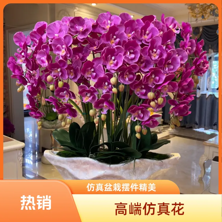 花妍贝壳盆手感保湿仿真蝴蝶兰盆栽套装酒店大堂玄关家居摆放摆件