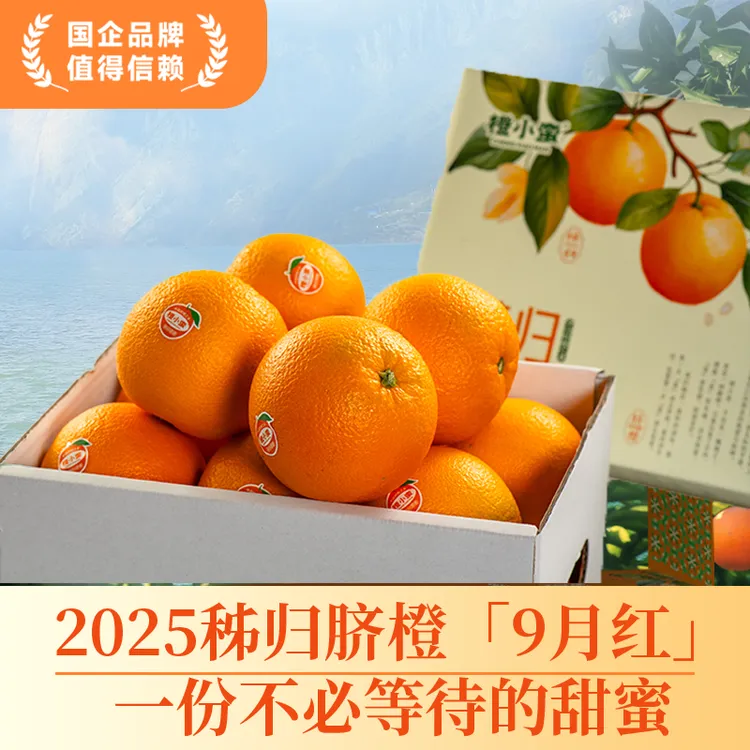 秭归脐橙2025年新鲜橙子秭归九月红爆汁橙老少孕妇当季水果柑橘类