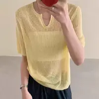 玲姐定制-V领纯色百搭薄款显瘦针织短袖159319
