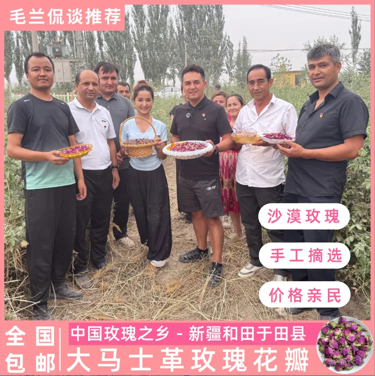 【全国包邮】新疆和田大马士革重瓣玫瑰花茶初级农产品毛兰推荐