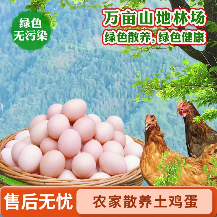 土林香3号铺土林香农家散养50枚土鸡蛋粮食喂养健康孕妇月子农场10枚+40枚