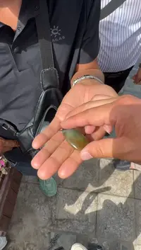未镶嵌和田玉（糖玉）挂件和田玉