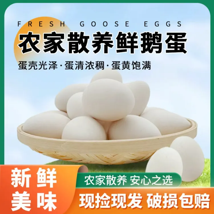 【破损包赔】农家新鲜散养鹅蛋  营养丰富 现捡现发