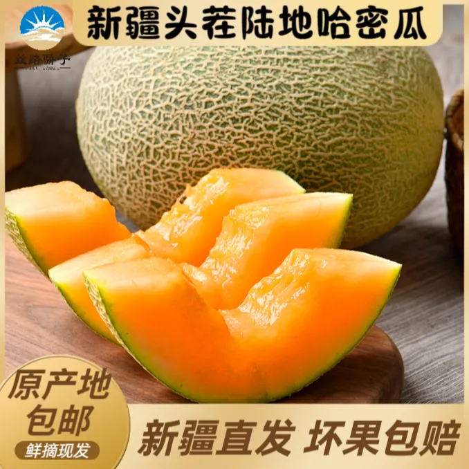 丝路骄子新疆哈密瓜顺丰包邮