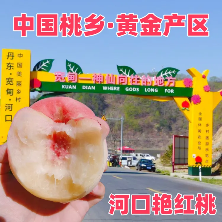 丹东艳红桃河口艳红桃水蜜桃燕红桃新鲜水果孕妇应季水果桃园包邮