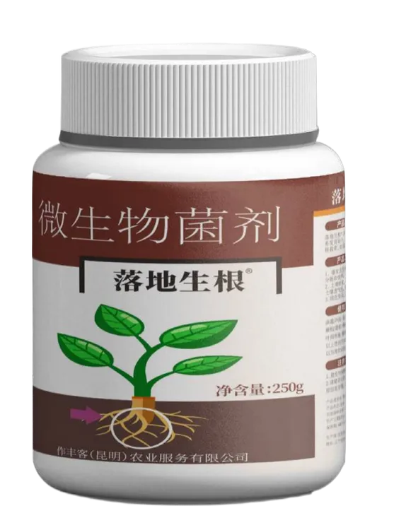 落地生根™️一亩半斤！肥到哪里根就到哪里！（一罐一亩）拍10发11