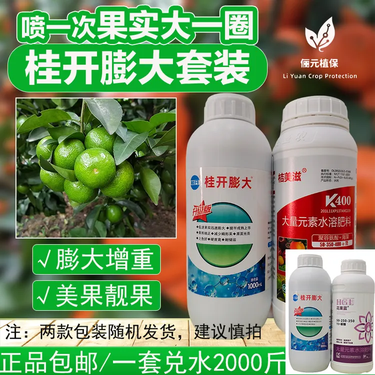 桂开柑橘膨大套装膨果增重美果靓果改善粗皮提高座果率